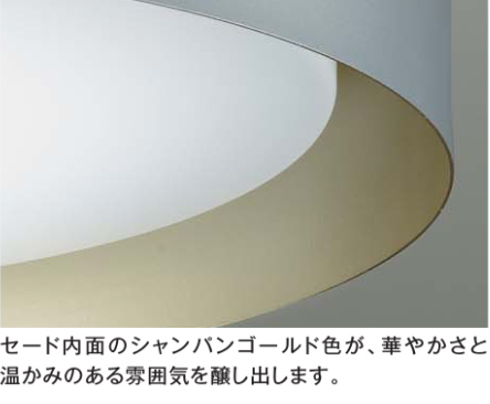 【調色対応】大光 DAIKO 洋風シーリングライト 丸形 8~10畳用|明るさ調整&おしゃれデザインDCL-41931