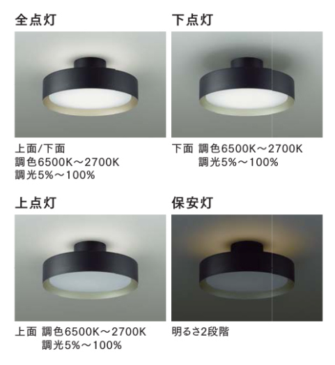 【調色対応】大光 DAIKO 洋風シーリングライト 丸形 8~10畳用|明るさ調整&おしゃれデザインDCL-41931