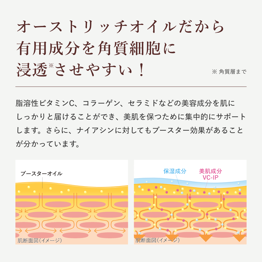 SPEEDIA グラマラス ブースターオイル オーストリッチオイル ダチョウ油 約90日分(50mL) スピード浸透 スキンケア 吉野家